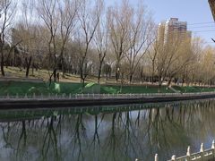 -南长河公园