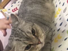 -小时光咖啡馆(开森度假森林店)