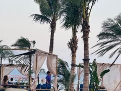-精酿农场Brew Farm·沙漠绿洲餐厅
