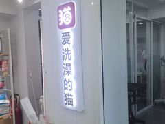 -爱洗澡的猫(望京店)
