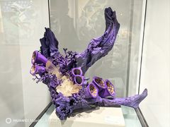 -中国地质博物馆