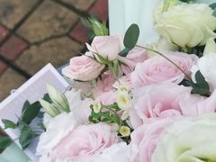 -田园花舍花店(北城未来实体店)