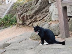 -崂山巨峰游览区
