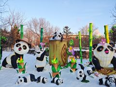 -沈阳奥体冰雪嘉年华