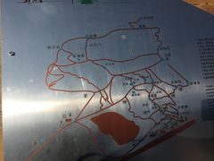-石老人观光园
