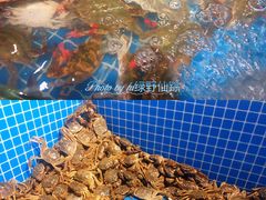 水产区-乔哥铭洋海鲜自助(皇城恒隆广场店)