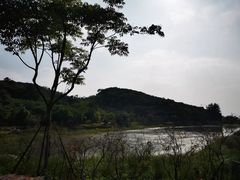 -镇江市南山风景名胜区竹林景区