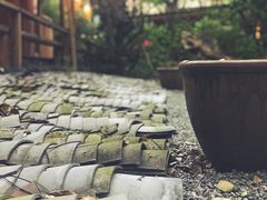 -乐领拈花溪·林涧食韵