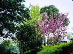 -天目湖涵田半山温泉