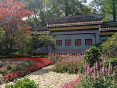 -棠湖公园