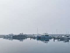 -星光岛