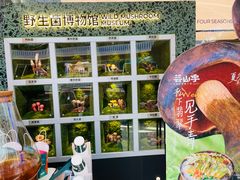 -芸山季·云南山珍菌火锅(南翔印象城MEGA店)