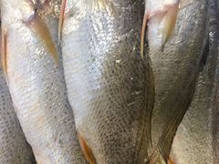 新鲜-春芳饺子馆(海德公园店)