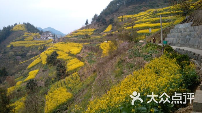 美仙居农家乐上传的图片