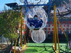 -南山特攻真人CS户外露营轰趴拓展基地