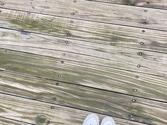 -厦门园林博览苑