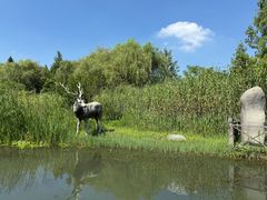 -溱湖国家湿地公园