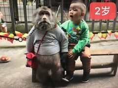 -贵州森林野生动物园