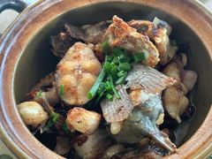 -聚友缘美食农庄