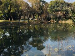 -新洲生态园
