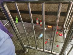 -少华山国家森林公园