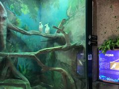 -福州罗源湾海洋世界旅游区