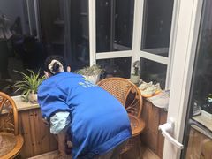 -武汉格丽雅家政 保洁清洗