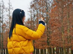 -白鹭湾湿地公园