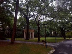 -叶叶菩提·晋福宫