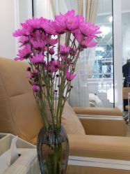 -绘甲社NACHO&DAI SALON