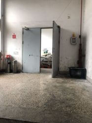 -逝水玩具折扣店