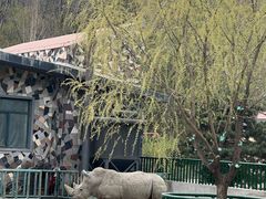 -哈尔滨北方森林动物园