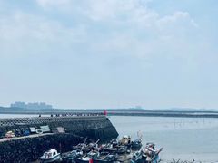 -长江澳风力发电景观区