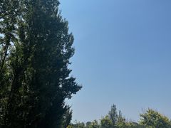 -野鸭湖国家湿地公园