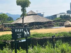 -杭州野生动物世界