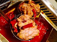 猪脑-海底捞火锅(银泰中心店)