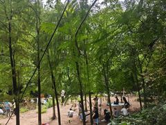 -重庆彩云湖湿地公园