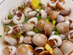 猫眼螺-包不同知味(嵊泗店)