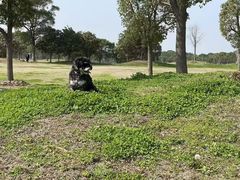 -联合动物医院(光谷诊疗中心)