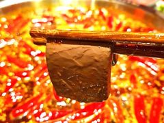 -谭鸭血老火锅(漳州路店)