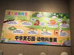-中华赏石园
