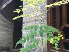 -扬美古镇景区