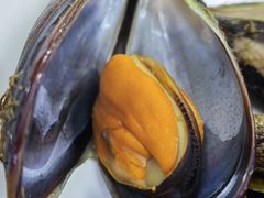 -众味海鲜大排档·活海鲜·潮汕味(南澳店)
