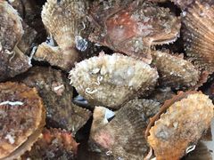 -宾朋海鲜特色美食餐厅·纯手工鲅鱼水饺(兴海路店)