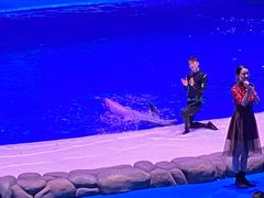 -华夏文旅海洋公园