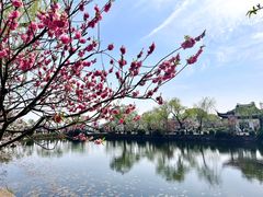-无锡蠡湖国家湿地公园-蠡园