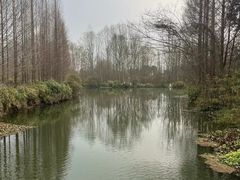 -桤木河湿地公园