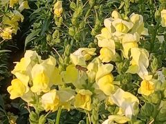 -二沙岛艺术公园