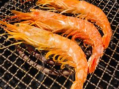 阿根廷红虾-江户烧肉(高德店)