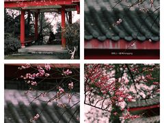 -南山植物园